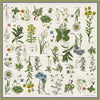 chiara coco Botany Archive Moss CC277-1 70CM