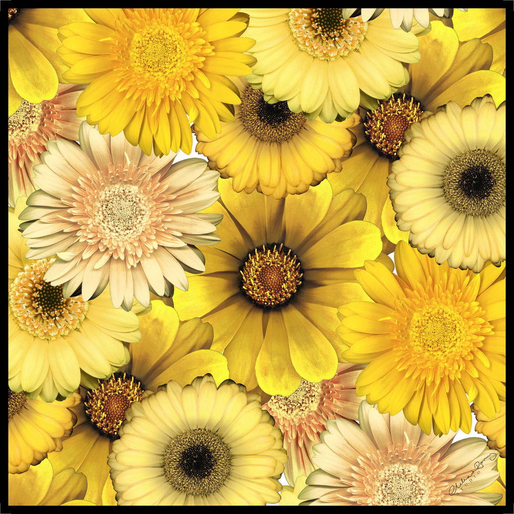 Clelia & Romy Studio Yellow sunflowers  CM571-1 90cm